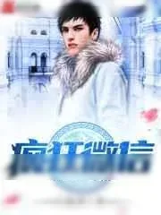 《疯狂微信》小说封面