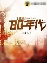 《逆流80年代》小说封面