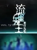 《流星天王》小说封面