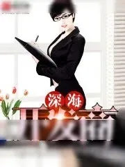 《深海开发商》小说封面