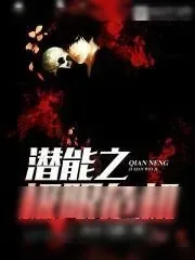 《潜能之极限危机》小说封面