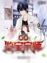 《极品宝鉴》小说封面
