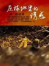 《庄稼地里的诱惑》小说封面