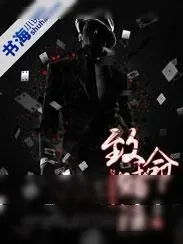 《致命赌注》小说封面
