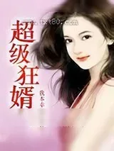 《超级狂婿》小说封面