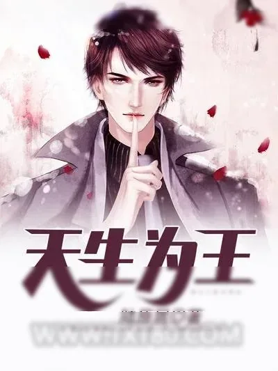 《天生为王》小说封面