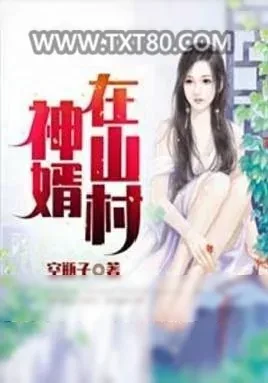 《神婿在山村》小说封面