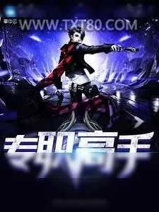 《专职高手》小说封面