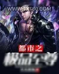 《都市之极品至尊》小说封面