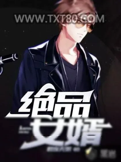 《绝品女婿》小说封面