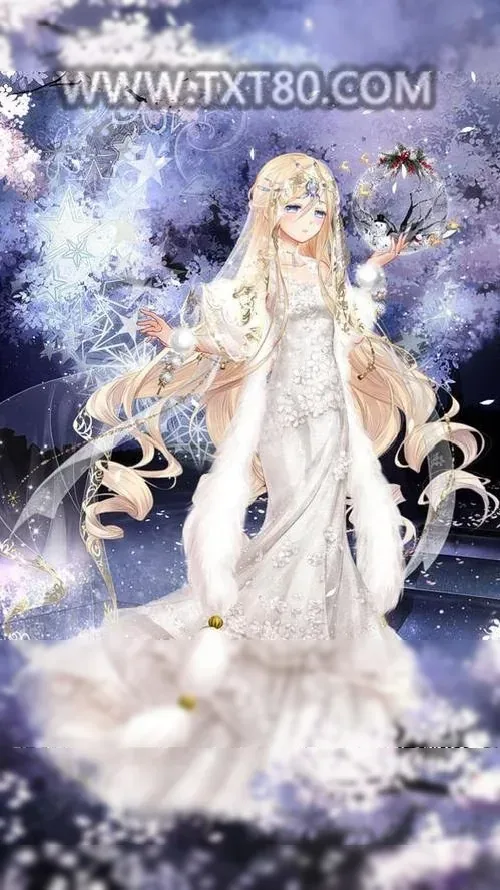 《时婳霍权辞》小说封面