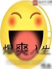 《爆爽人生》小说封面