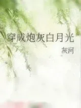 《穿成炮灰白月光》小说封面