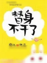 《替身不干了》小说封面