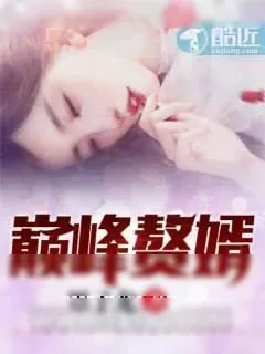 《巅峰赘婿》小说封面