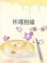 《怀瑾抱瑜》小说封面