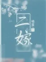 《二嫁》小说封面