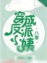 《穿成反派小姨[八零]》小说封面