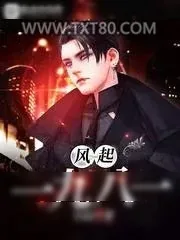 《风起一九八一》小说封面