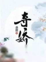 《夺娇》小说封面