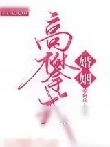《高攀式婚姻》小说封面