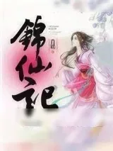 《锦仙记》小说封面