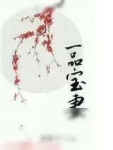 《一品宝妻》小说封面