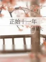 《正始十一年》小说封面