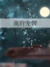 《南府宠婢》小说封面
