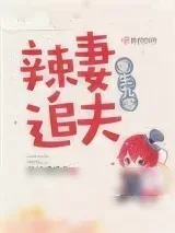 《重生九零辣妻追夫》小说封面