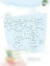 《和徐教授闪婚之后》小说封面