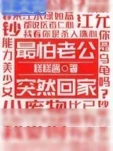 《最怕老公突然回家》小说封面