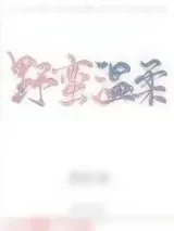 《野蛮温柔》小说封面