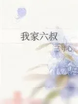 《我家六叔》小说封面