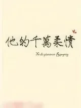 《他的千万柔情》小说封面