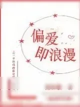 《偏爱即浪漫》小说封面