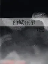 《西城往事》小说封面