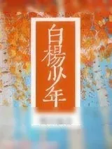 《白杨少年》小说封面