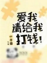 《爱我请给我打钱》小说封面