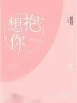 《想抱你》小说封面