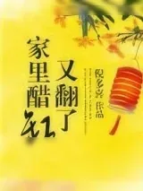 《家里醋缸又翻了》小说封面
