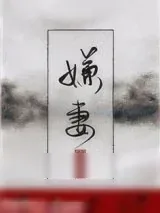 《嫌妻》小说封面