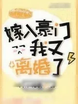 《嫁入豪门后我又离婚了》小说封面