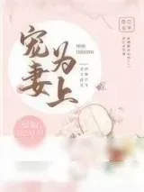 《宠妻为上》小说封面