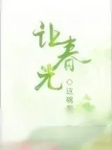 《让春光》小说封面