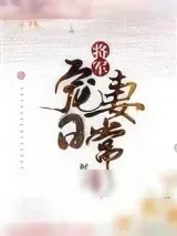 《将军宠妻日常》小说封面