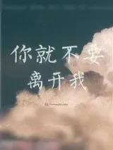 《你就不要离开我》小说封面