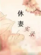 《休妻实录》小说封面
