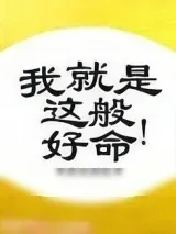 《我就是这般好命》小说封面