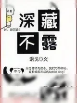 《深藏不露》小说封面